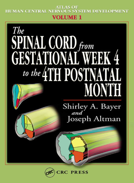The Spinal Cord from Gestational Week 4 to the 4th Postnatal Month