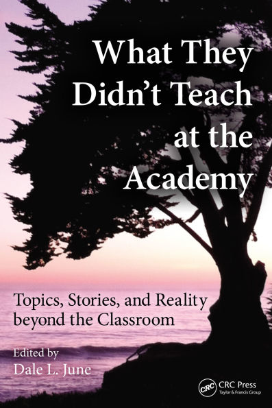 What They Didn't Teach at the Academy: Topics, Stories, and Reality beyond the Classroom