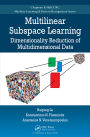 Multilinear Subspace Learning: Dimensionality Reduction of Multidimensional Data