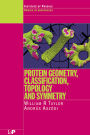 Protein Geometry, Classification, Topology and Symmetry: A Computational Analysis of Structure