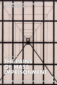 Title: The Pains of Mass Imprisonment, Author: Benjamin Fleury-Steiner