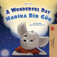 Title: A Wonderful Day (English Turkish Bilingual Children's Book), Author: Sam Sagolski