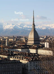 Title: Turijn, Author: Enrico Massetti