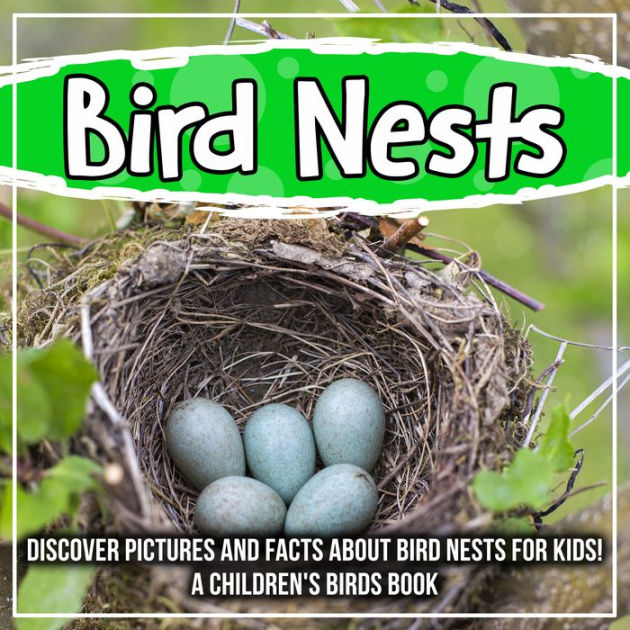 Bird Nests Discover Pictures and Facts About Bird Nests For Kids! A