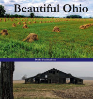 Title: Beautiful Ohio, Author: Debby Burleson