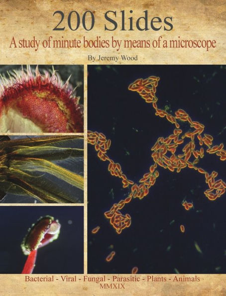 200 Slides: A study of minute bodies by means of a microscope