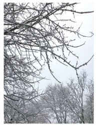 Title: Snow Scribblings Sketchbook, Author: Curtis W. Jackson