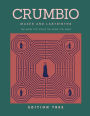 Crumbio Mazes and Labyrinths: The more you solve the more you want . Brain Games for Adults