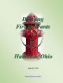 Dressing Fire Hydrants in Hamilton, Ohio