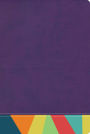 RVR 1960 Biblia de Estudio Arcoíris, morado/multicolor
