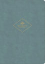 CSB Women's Study Bible, Earthen Teal SuedeSoft LeatherTouch