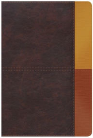 Title: RVR 1960 Biblia de Estudio Arcoíris, cocoa/ terracota símil piel con índice, Author: B&H Español Editorial Staff