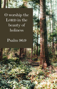 Title: General Worship Bulletin: O Worship the Lord (Package of 100): Psalm 96:9 (KJV), Author: Broadman Church Supplies Staff