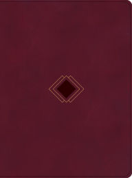 Title: CSB Day-by-Day Chronological Bible, Burgundy LeatherTouch, Author: George H. Guthrie