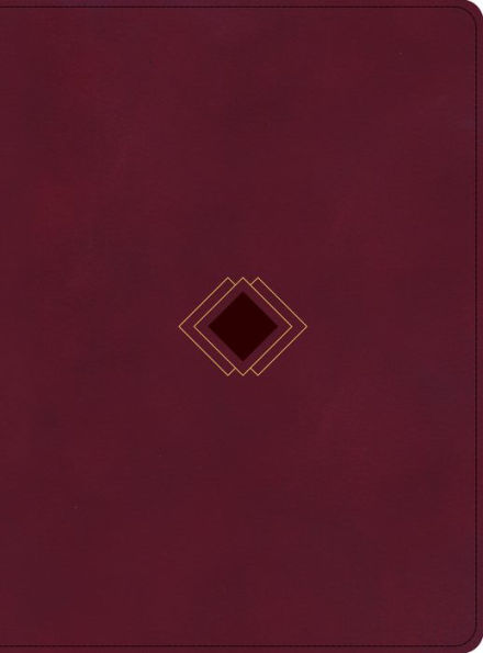 CSB Day-by-Day Chronological Bible, Burgundy LeatherTouch