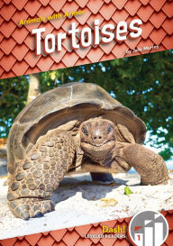 Title: Tortoises, Author: Julie Murray