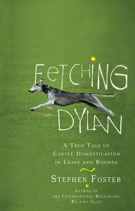 Title: Fetching Dylan: A True Tale of Canine Domestication in Leaps and Bounds, Author: Stephen Foster