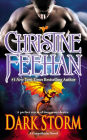 Dark Storm (Carpathian Series #23)