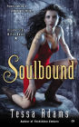 Soulbound (Lone Star Witch Series #1)