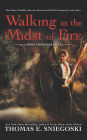 Walking in the Midst of Fire (Remy Chandler Series #6)