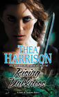 Rising Darkness (Game of Shadows Series #1)