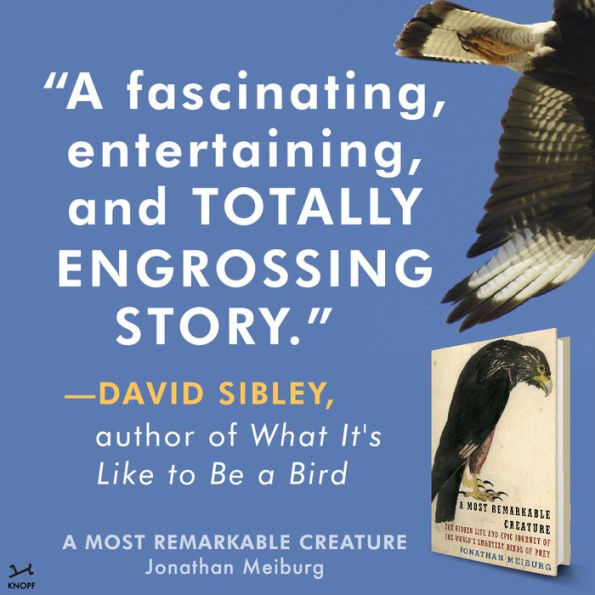 A Most Remarkable Creature: The Hidden Life and Epic Journey of the World's Smartest Birds of Prey