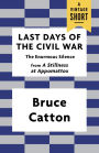 Last Days of the Civil War: The Enormous Silence