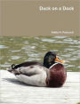 Duck On A Dock