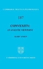 Convexity: An Analytic Viewpoint