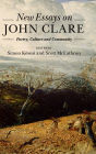 New Essays on John Clare: Poetry, Culture and Community