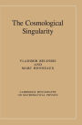The Cosmological Singularity