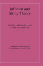 Inflation and String Theory