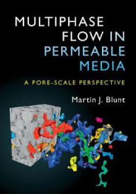 Title: Multiphase Flow in Permeable Media: A Pore-Scale Perspective, Author: Martin J. Blunt