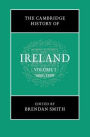 The Cambridge History of Ireland: Volume 1, 600-1550