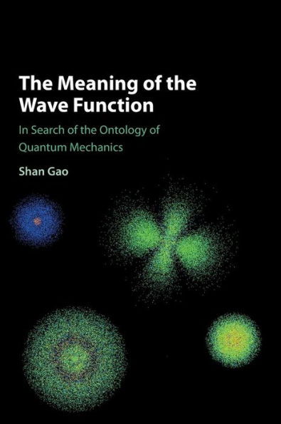 The Meaning of the Wave Function: In Search of the Ontology of Quantum Mechanics