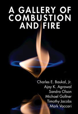 A Gallery of Combustion and Fire
