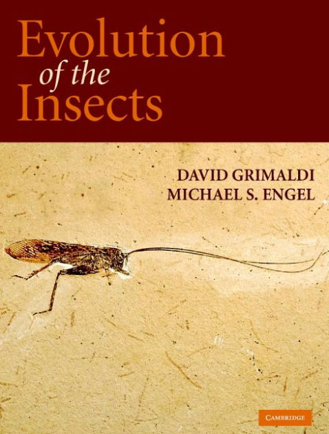 洋書 The Evolution of Insect Mating Systems Amazon.com: The Evolution of Insect Mating Systems
