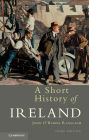 A Short History of Ireland / Edition 3