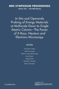 Title: In-Situ and Operando Probing of Energy Materials at Multiscale Down to Single Atomic Column - The Power of X-Rays, Neutrons and Electron Microscopy: Volume 1262, Author: Chongmin Wang
