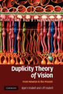 Duplicity Theory of Vision: From Newton to the Present