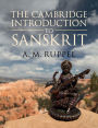 The Cambridge Introduction to Sanskrit