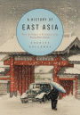 A History of East Asia: From the Origins of Civilization to the Twenty-First Century