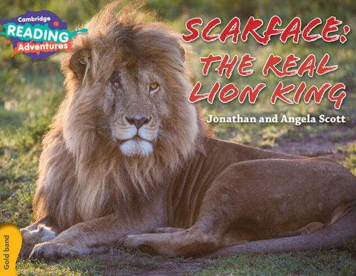 Cambridge Reading Adventures Scarface: The Real Lion King Gold Band