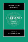 The Cambridge History of Ireland: Volume 1, 600-1550