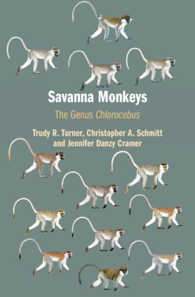 Savanna Monkeys: The Genus Chlorocebus