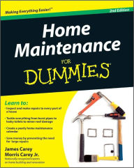 Title: Home Maintenance For Dummies, Author: James Carey