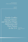 Family Conflict Among Chinese- and Mexican-Origin Adolescents and Their Parents in the U.S.: New Directions for Child and Adolescent Development