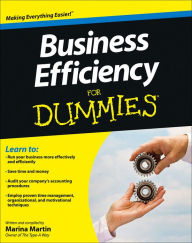 Business Efficiency For Dummies
