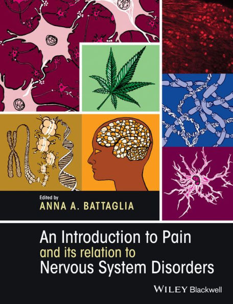 An Introduction to Pain and its relation to Nervous System Disorders / Edition 1