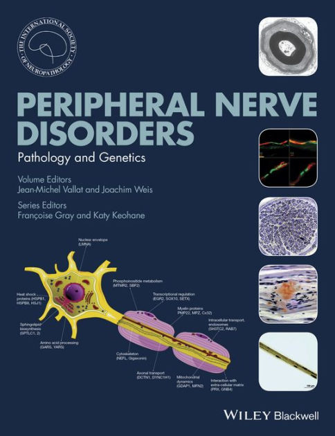 Peripheral Nerve Disorders: Pathology And Genetics / Edition 1 By Jean ...